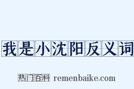 我是小沈阳反义词是什么意思的图片